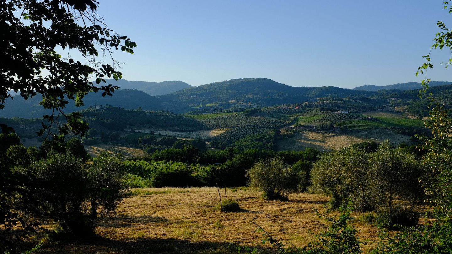 Places photo 12